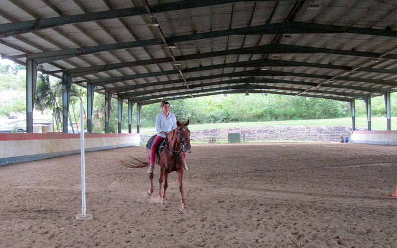 Equitacion